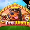 The Dog House
